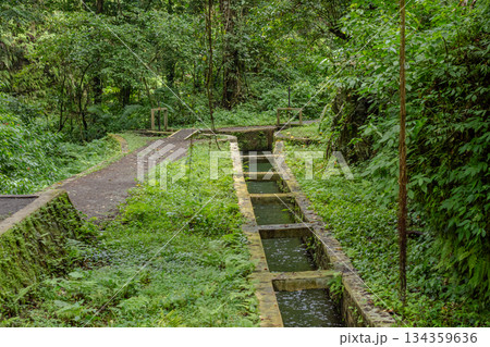 Historic stone irrigation system running through a dense, humid tropical jungle environment with parallel muddy hiking path and overgrown foliage Historic stone irrigation system running through a dense, humid tropical jungle environment with parallel muddy hiking path and overgrown foliage 134359636