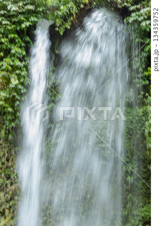 Waterfall cascades down lush green mossy rock face captured using slow shutter speed motion blur effect in Bayan village North Lombok Indonesia. 134359752