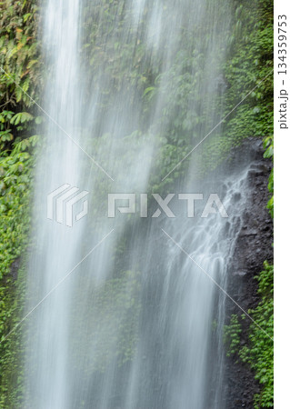 Tropical waterfall close-up long exposure flowing water cascading down steep rock face with dense green foliage in Lombok, Indonesia. 134359753