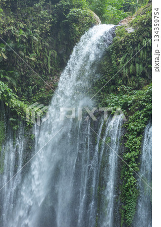 Sendang Gile Waterfall North Lombok Indonesia lush tropical jungle nature scene 134359754