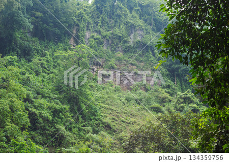 Lush green tropical forest vegetation covering steep rocky slopes in North Lombok, Indonesia 134359756