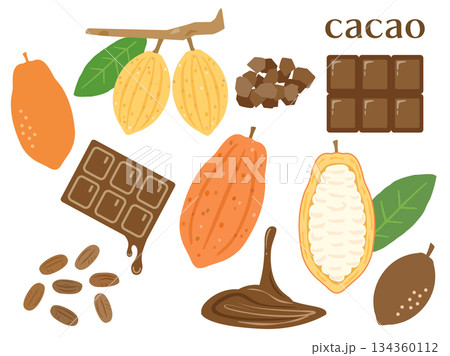 バレンタインなどに使えるカカオの実とチョコレートのイラストのセット バレンタインなどに使えるカカオの実とチョコレートのイラストのセット 134360112