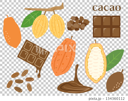 一套可可果和巧克力的插圖,可用於情人節等場合。 一套可可果和巧克力的插圖,可用於情人節等場合。 134360112
