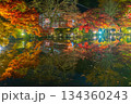 ライトアップされた紅葉の弁天池 134360243