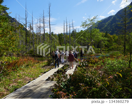 観光名所上高地の岳沢湿原の風景を楽しむ観光客の姿と穂高連峰の風景 観光名所上高地の岳沢湿原の風景を楽しむ観光客の姿と穂高連峰の風景 134360279