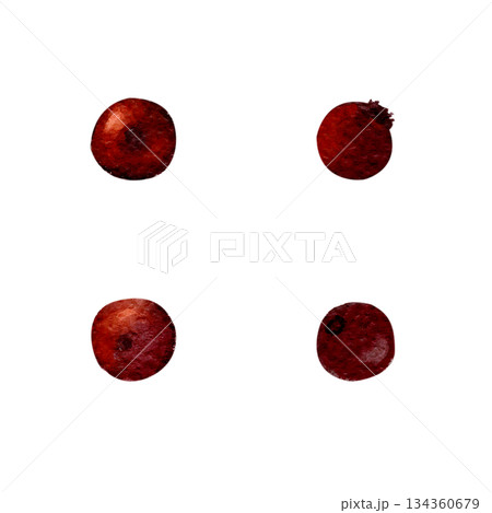 Holly berries isolated on white. Hand-painted watercolor red textured botanical elements, perfect for Christmas compositions, holiday design, festive patterns, invitations, packaging, seasonal decor. 134360679