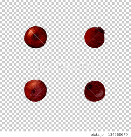 Holly berries isolated on white. Hand-painted watercolor red textured botanical elements, perfect for Christmas compositions, holiday design, festive patterns, invitations, packaging, seasonal decor. 134360679