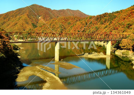 『湯西川橋梁』にて紅葉のダム湖を渡る… 鉄道旅で錦秋の『南会津』へ　野岩鉄道【6050系】 134361049