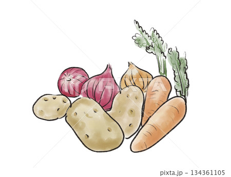 新鮮野菜のカラーイラスト｜じゃがいも、にんじん、玉ねぎ 134361105