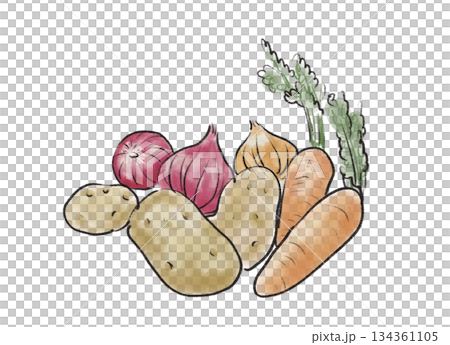 Fresh vegetables color illustration | Potato, carrot, onion 134361105