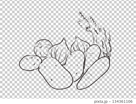 Line illustrations of fresh vegetables | Potatoes, carrots, onions 134361106