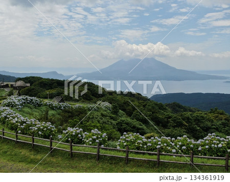 風光明媚な輝北うわば高原から錦江湾と桜島を望む 134361919