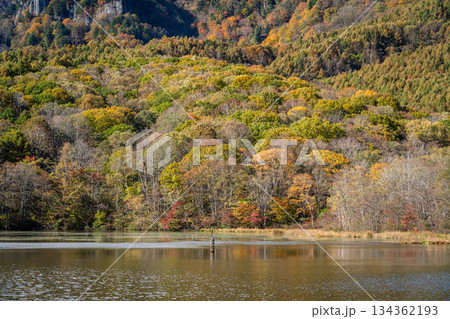 秋の紅葉に染まる鏡池　長野県戸隠 134362193