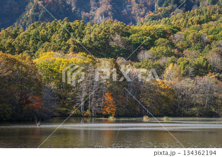 秋の紅葉に染まる鏡池 長野県戸隠 秋の紅葉に染まる鏡池 長野県戸隠 134362194