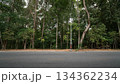 Horizontal or landscape view of asphalt road with blurred white and yellow lens line. Background with lighting pole and deep forest under light sky. 134362234