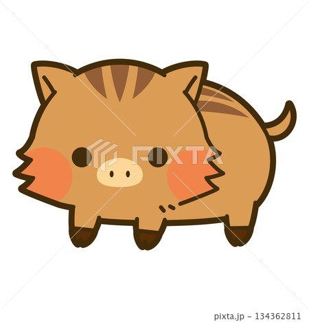 かわいいウリ坊(イノシシ)のイラスト かわいいウリ坊(イノシシ)のイラスト 134362811