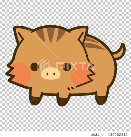 かわいいウリ坊(イノシシ)のイラスト かわいいウリ坊(イノシシ)のイラスト 134362811