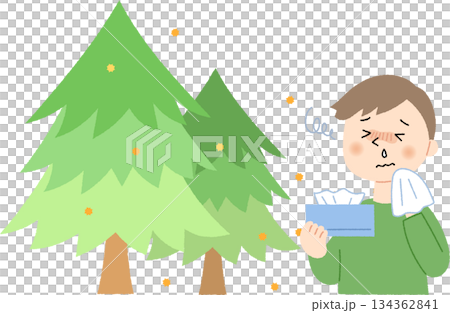 A cedar tree emitting pollen and a man with a runny nose 134362841