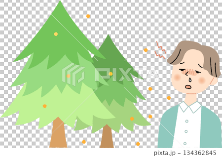 A cedar tree releasing pollen and a man with a headache A cedar tree releasing pollen and a man with a headache 134362845