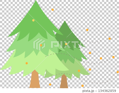 產生花粉的雪松樹 134362859