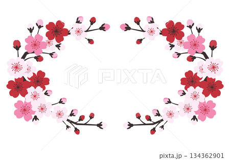 和風モダンな桜の円形フレーム・飾り枠イラスト 134362901