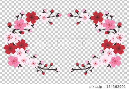 和風モダンな桜の円形フレーム・飾り枠イラスト 134362901