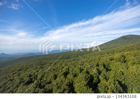 八甲田山の山並みと緑の樹海が広がる自然豊かな風景 134363108