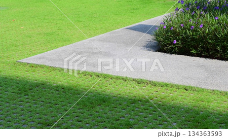 green grass in the garden with sunlight, exterior design for home green grass in the garden with sunlight, exterior design for home 134363593