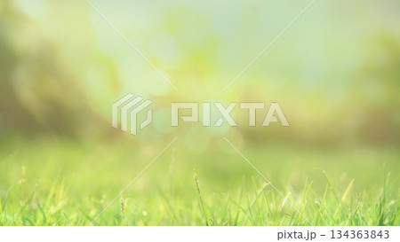 Spring grass blades growing on a vibrant green lawn creating a serene abstract nature background. Spring grass blades growing on a vibrant green lawn creating a serene abstract nature background. 134363843