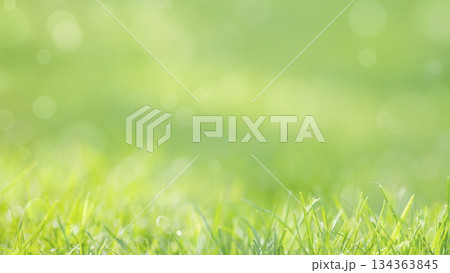 Vibrant spring grass creating a warm, bright nature background with soft bokeh lights Vibrant spring grass creating a warm, bright nature background with soft bokeh lights 134363845