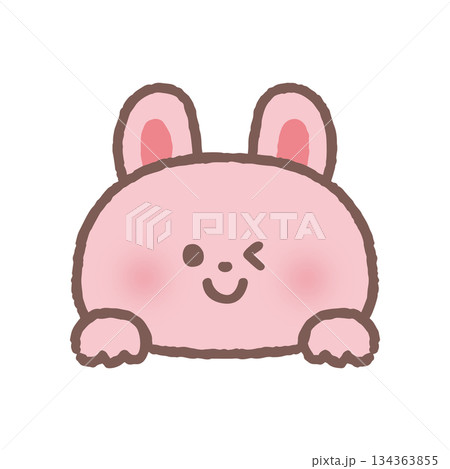 ひょっこり顔を出してウィンクするウサギ 134363855