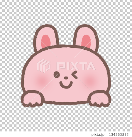 ひょっこり顔を出してウィンクするウサギ 134363855