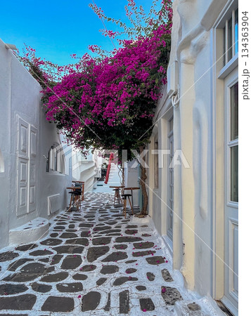 Mykonos island alley with traditional whitewashed homes, cycladic architecture, and vibrant bougainvillea flowers, capturing travel, tourism, and summer mediterranean lifestyle Mykonos island alley with traditional whitewashed homes, cycladic architecture, and vibrant bougainvillea flowers, capturing travel, tourism, and summer mediterranean lifestyle 134363904