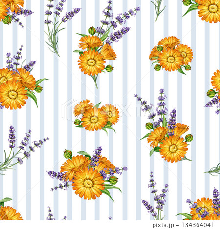 Calendula blossoms and lavender flowers seamless pattern watercolor illustration. Hand drawn fresh calendula flowers mixed with lavender stems floral decor element on striped background Calendula blossoms and lavender flowers seamless pattern watercolor illustration. Hand drawn fresh calendula flowers mixed with lavender stems floral decor element on striped background 134364041
