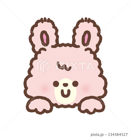 ひょっこり顔を出すモコモコのウサギ 134364527