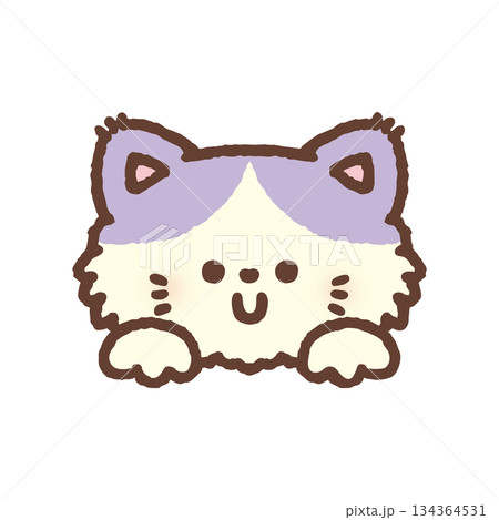 ひょっこり顔を出すモコモコのネコ 134364531