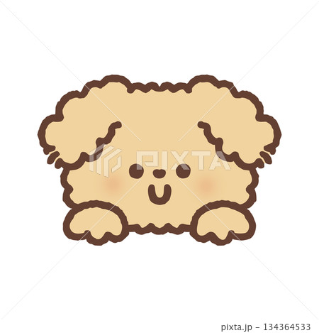 ひょっこり顔を出すモコモコの犬 134364533