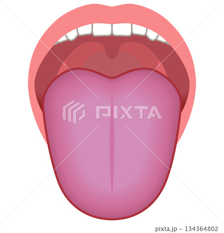 紫色の舌　舌でわかる健康状態　舌診　舌の健康 134364802