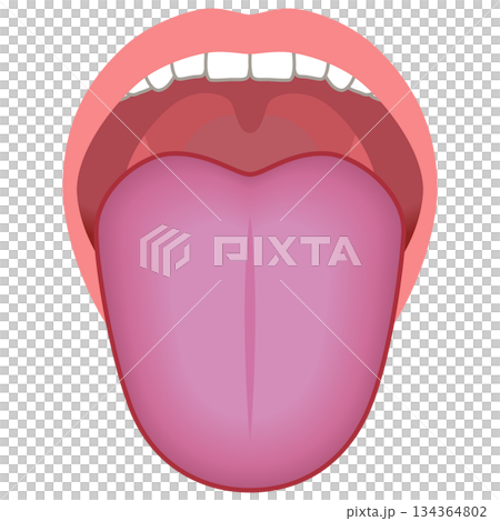 紫色の舌　舌でわかる健康状態　舌診　舌の健康 134364802