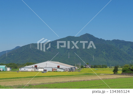 村岡町ホワイトザウルスから見る水無山 福井県勝山市 村岡町ホワイトザウルスから見る水無山 福井県勝山市 134365124