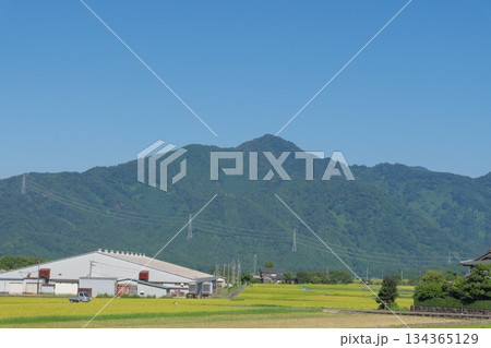 村岡町ホワイトザウルスから見る水無山　福井県勝山市 134365129