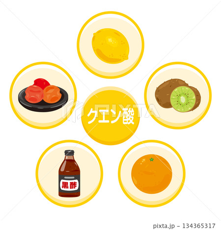 クエン酸を多く含む食品のイラストセット　日本語 134365317