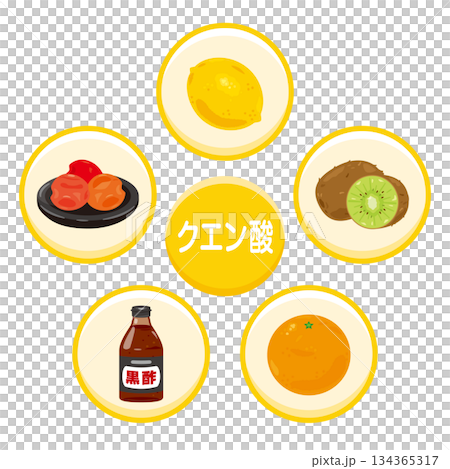 クエン酸を多く含む食品のイラストセット　日本語 134365317