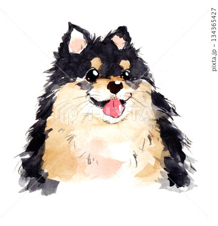 にっこり笑顔の黒いふわふわ犬の水彩イラスト にっこり笑顔の黒いふわふわ犬の水彩イラスト 134365427