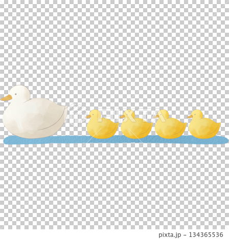 一幅柔和的水彩風格插畫，描繪了一隻母鴨和小鴨並肩游泳的場景。 134365536