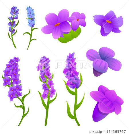 Lavender icons set, cartoon style Lavender icons set, cartoon style 134365767