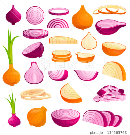 Onion icons set, cartoon style 134365768