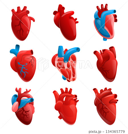 Human heart icons set, cartoon style 134365779