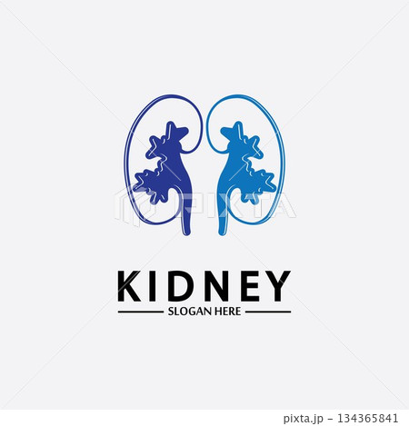 Health and Care Kidney Logo Design Concept. Urology Logo Vector Template Health and Care Kidney Logo Design Concept. Urology Logo Vector Template 134365841