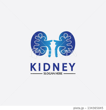 Health and Care Kidney Logo Design Concept. Urology Logo Vector Template Health and Care Kidney Logo Design Concept. Urology Logo Vector Template 134365845